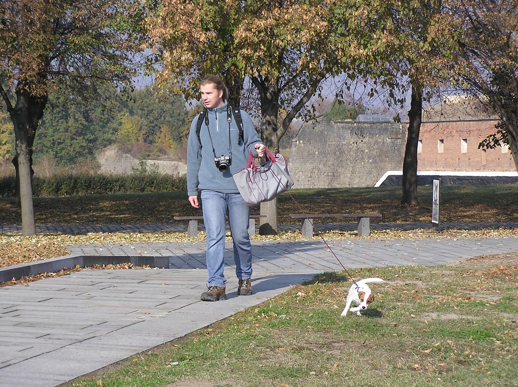 img00029.jpg