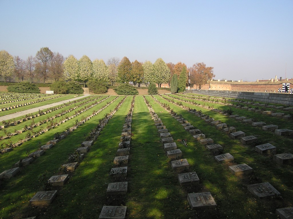 img00031.jpg