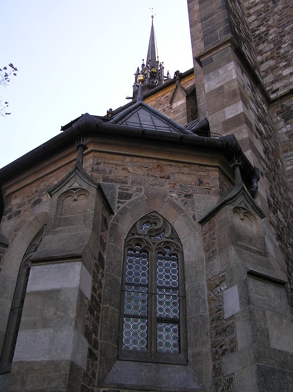 img00011.jpg