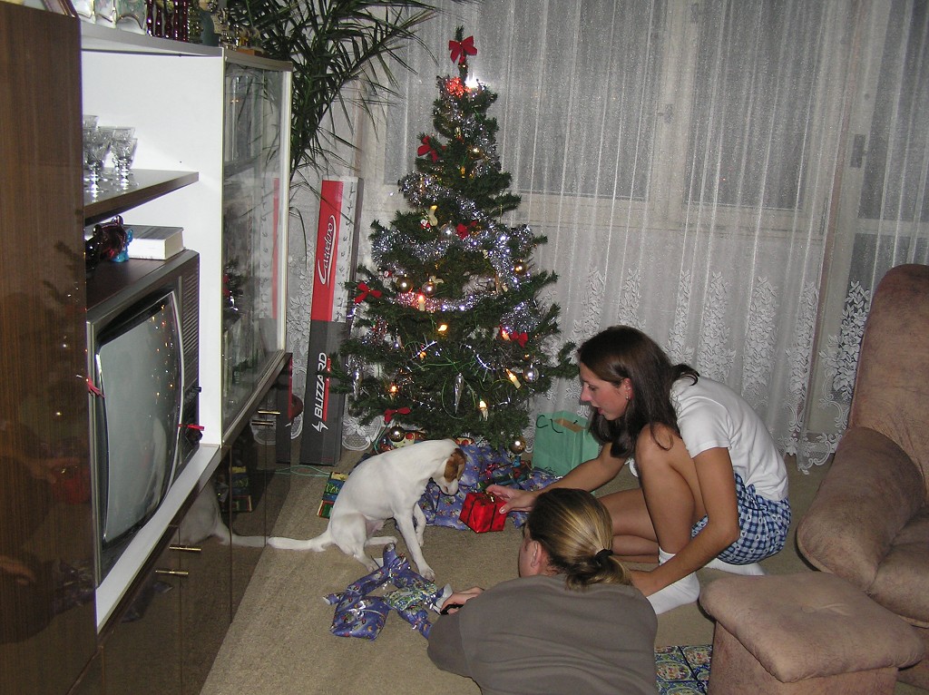 img00016.jpg