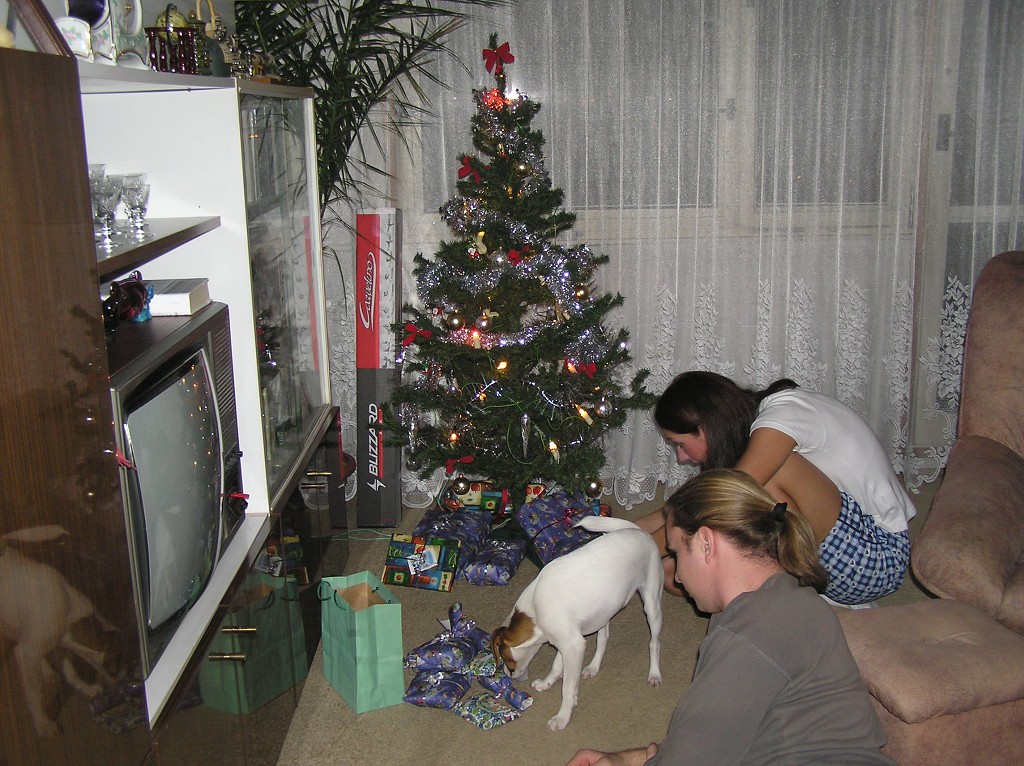 img00017.jpg