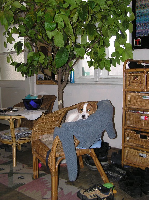 img00018.jpg