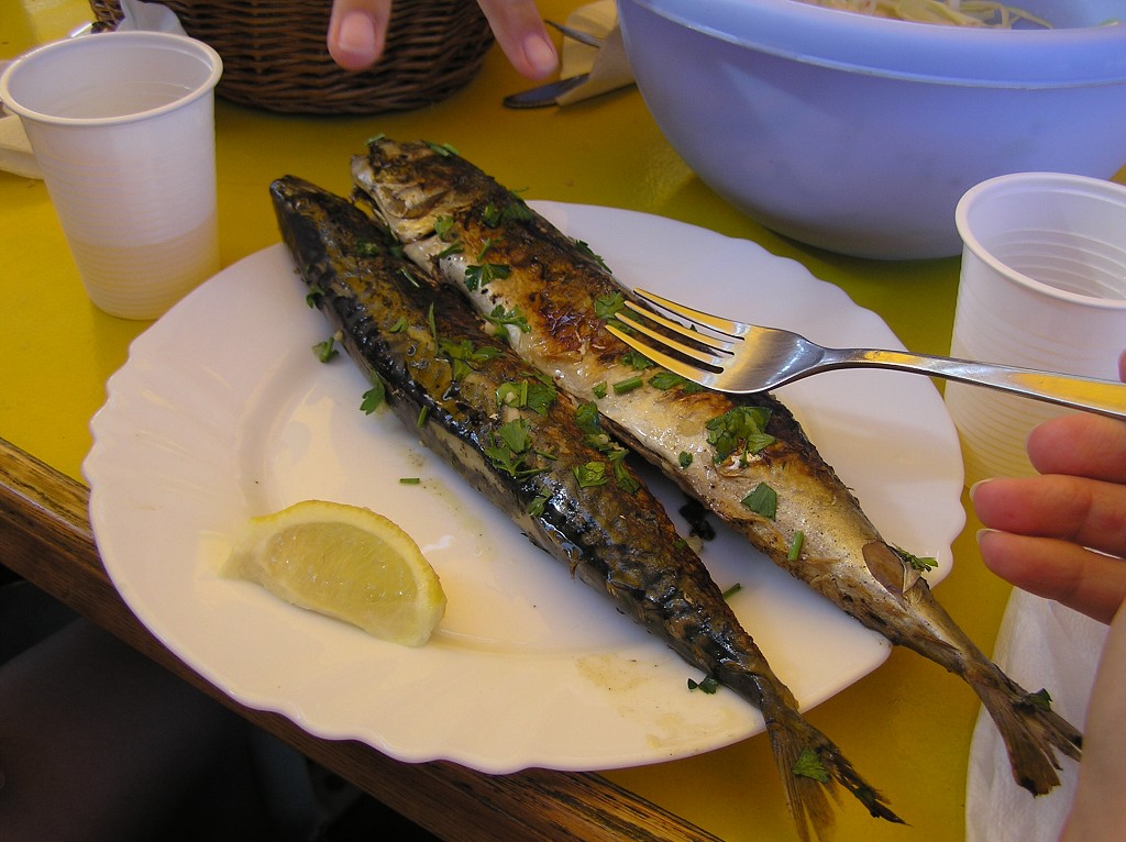 img00008.jpg
