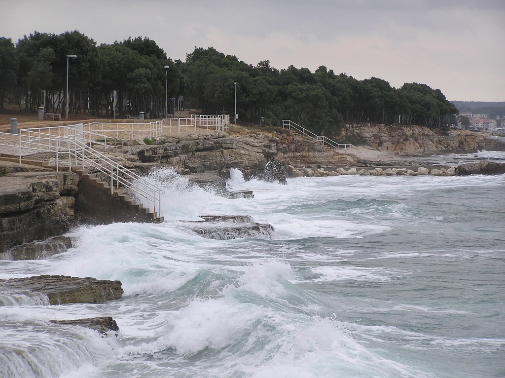 img00040.jpg