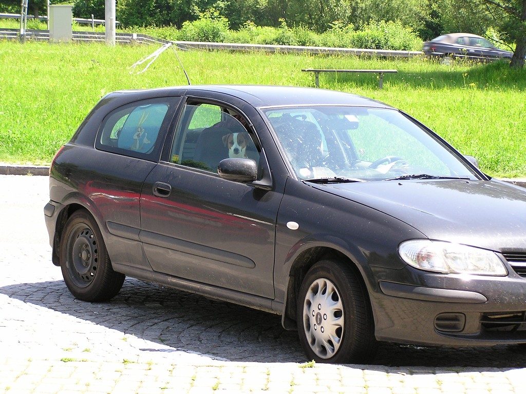 img00003.jpg