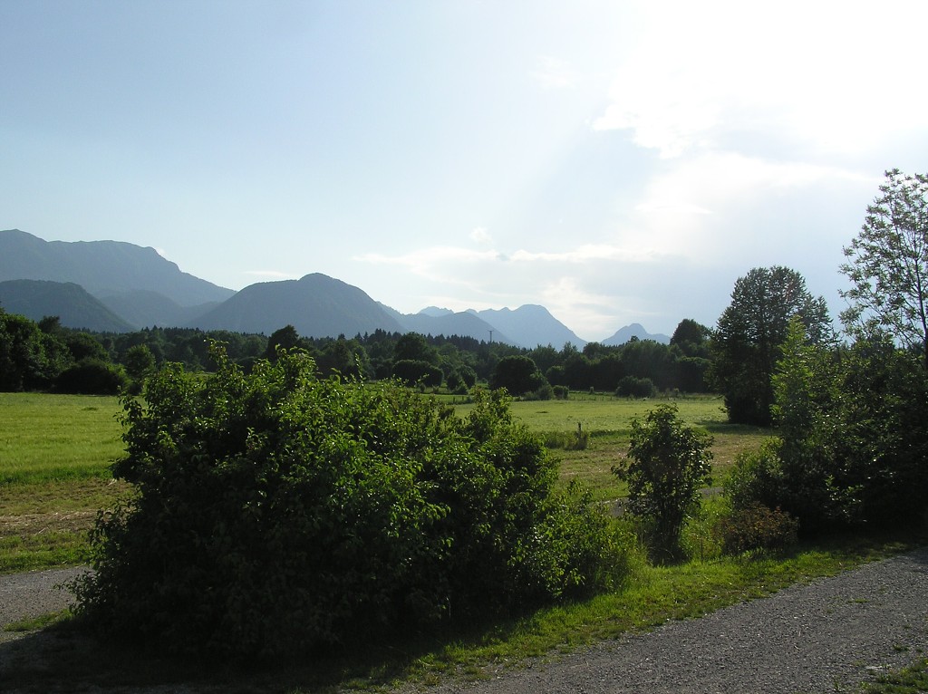 img00008.jpg