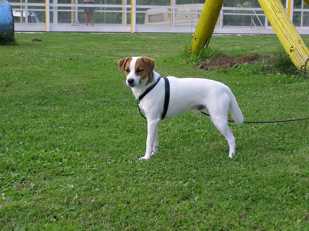 img00013.jpg