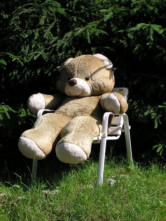 img00015.jpg