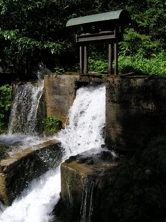 img00017.jpg
