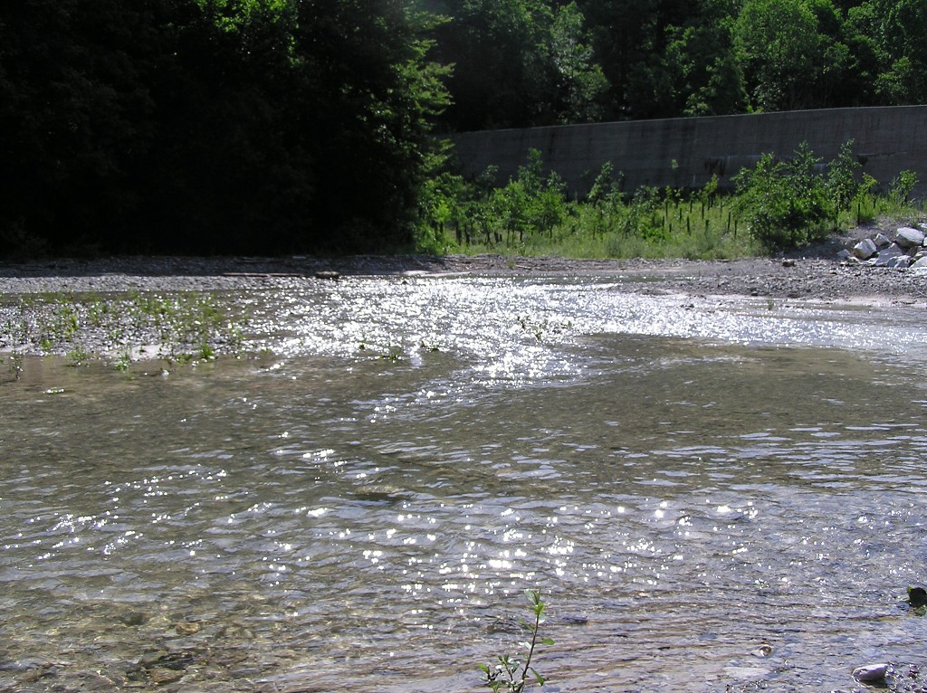 img00021.jpg