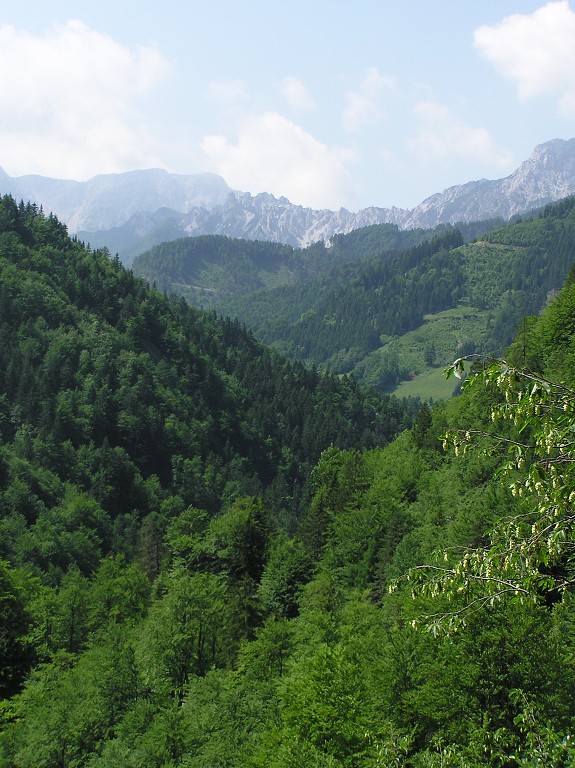 img00025.jpg