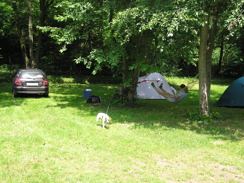 img00030.jpg