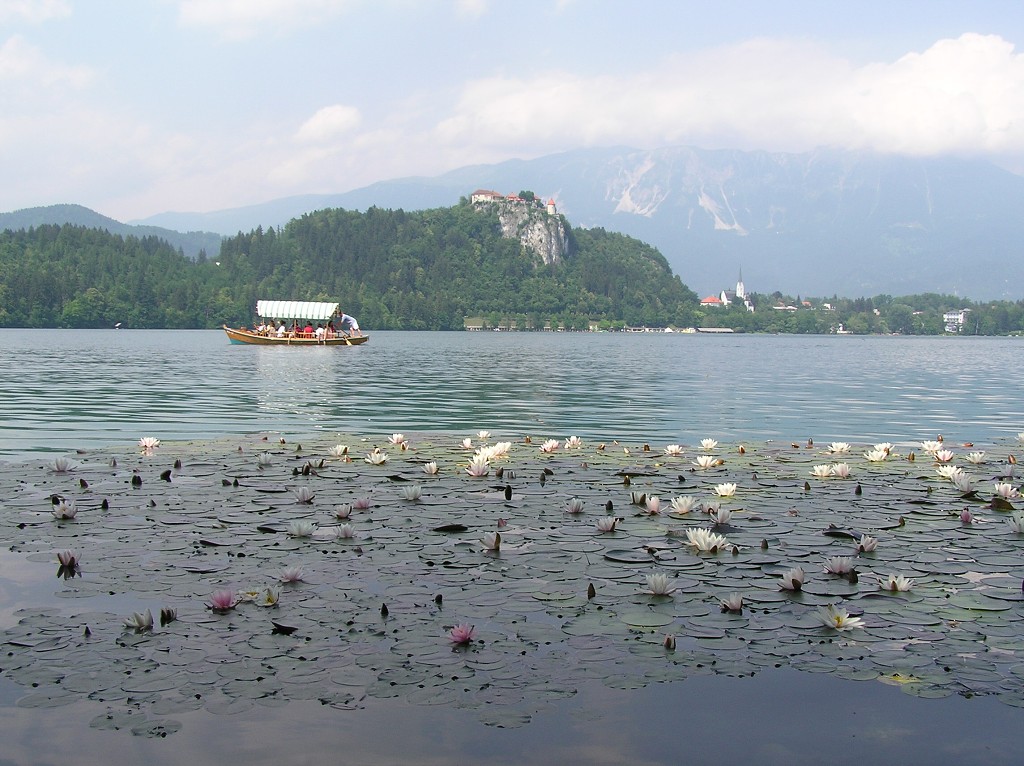 img00035.jpg