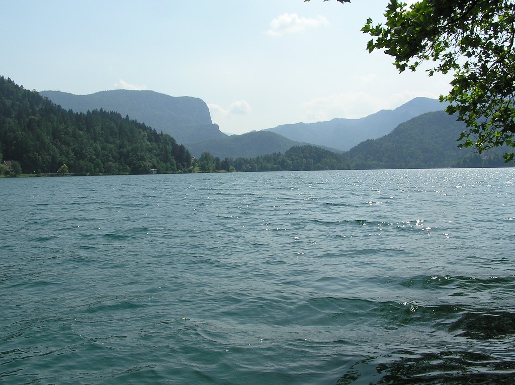 img00038.jpg