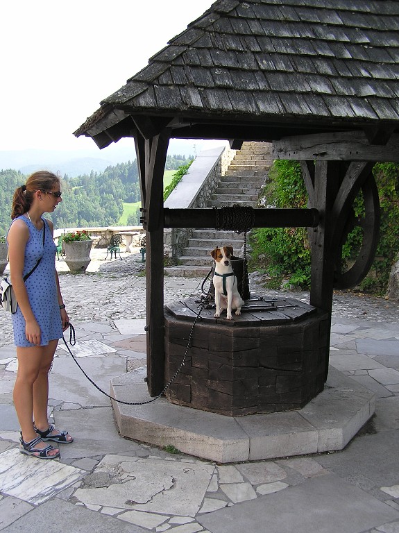 img00040.jpg