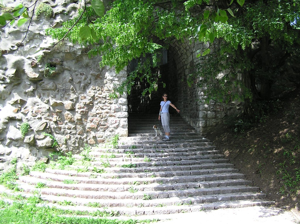 img00054.jpg