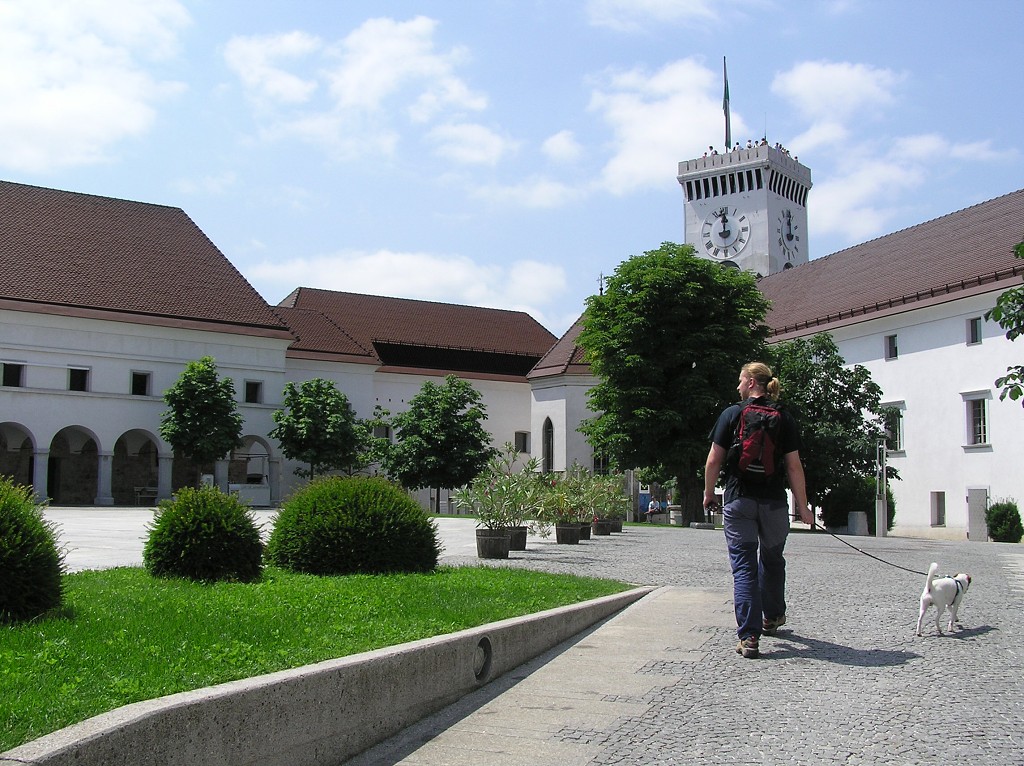 img00061.jpg