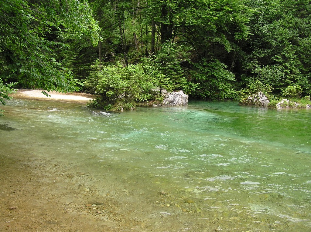 img00070.jpg