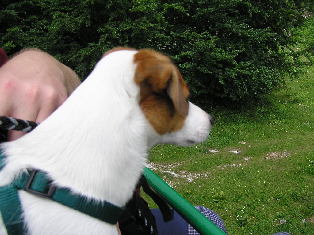 img00079.jpg