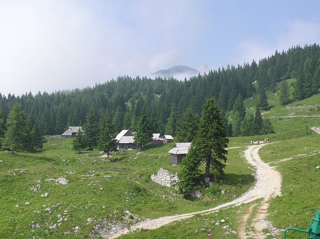 img00082.jpg
