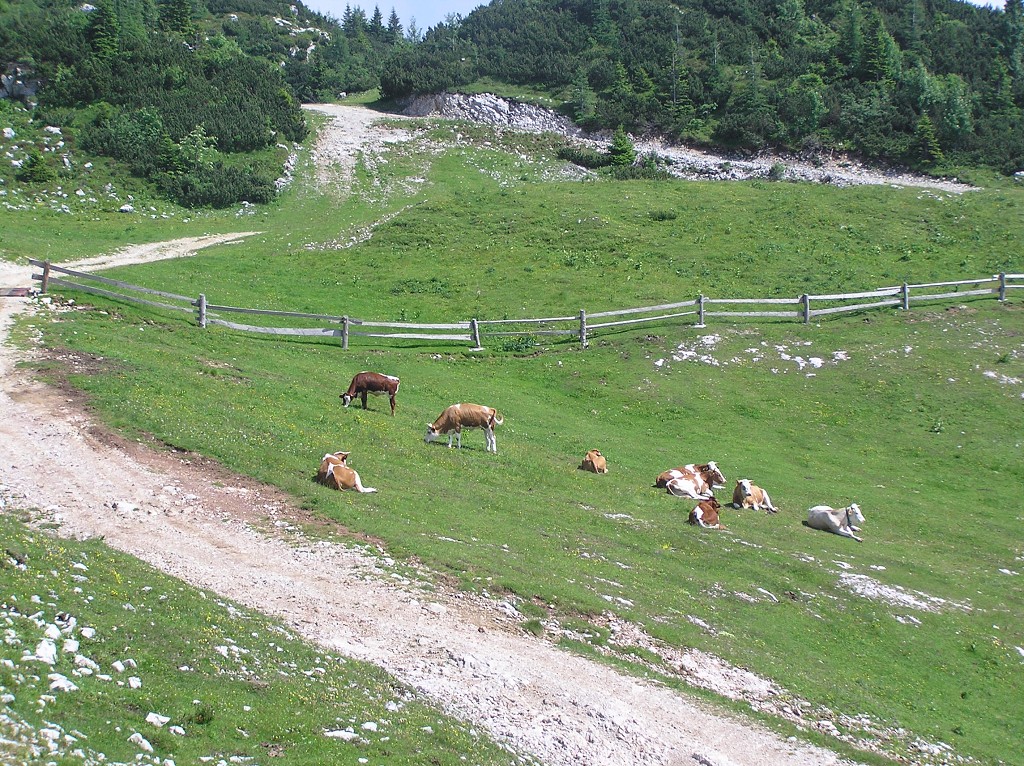img00085.jpg