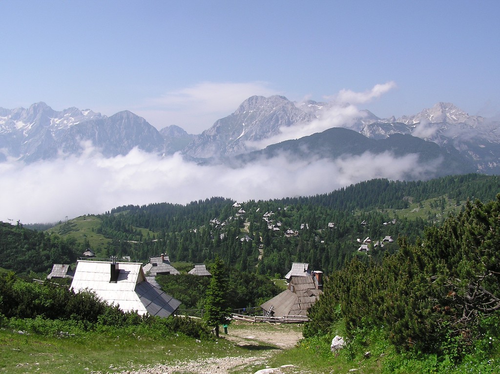 img00089.jpg