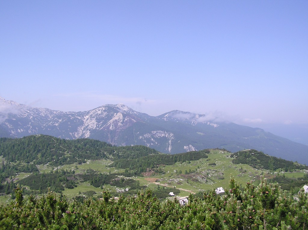 img00090.jpg