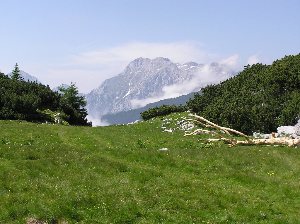 img00093.jpg