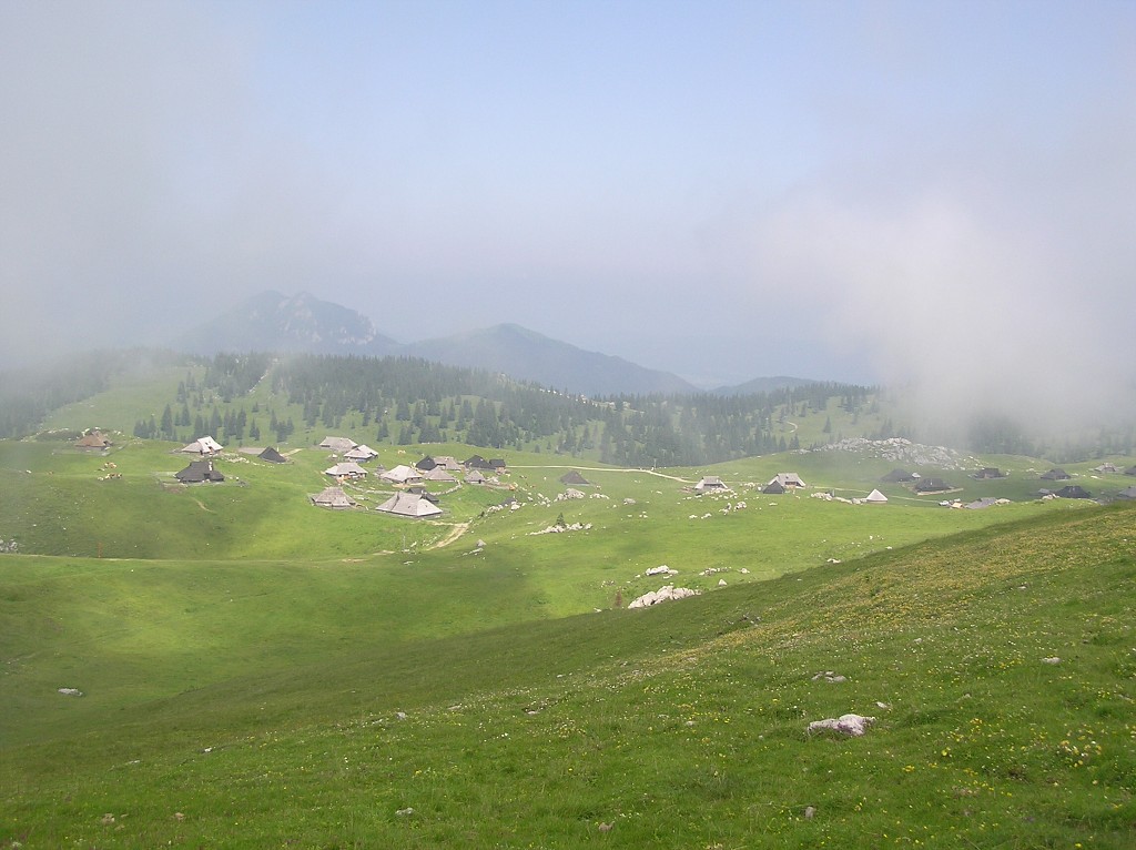 img00096.jpg