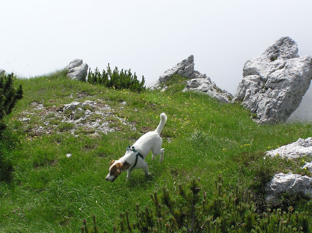 img00097.jpg