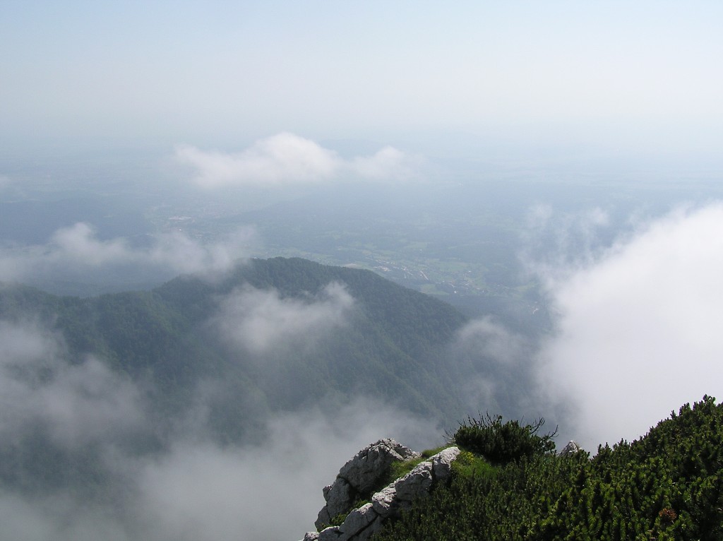 img00098.jpg