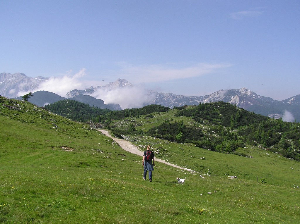 img00104.jpg