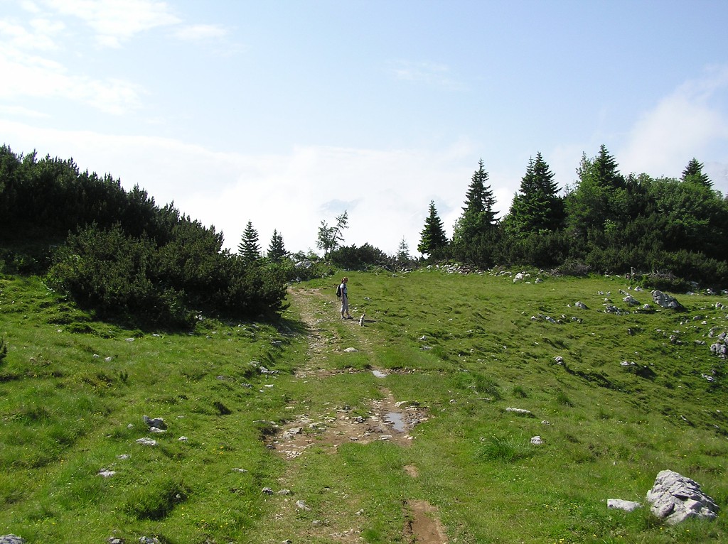 img00106.jpg