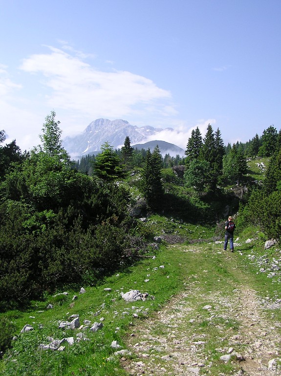 img00107.jpg