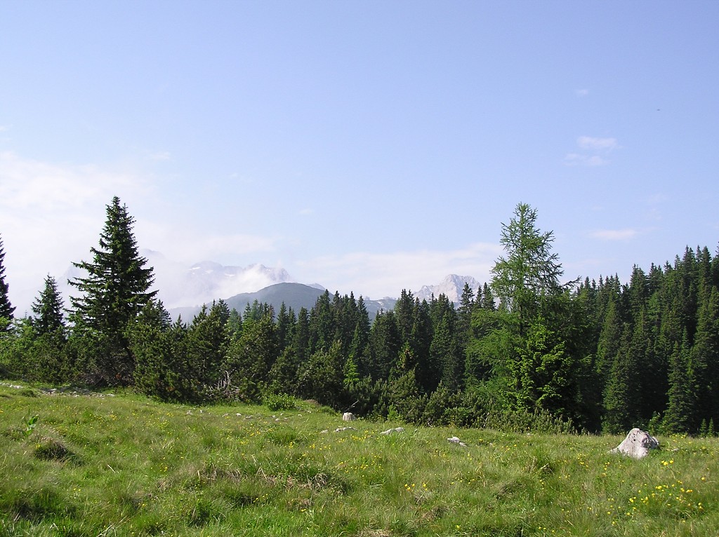 img00108.jpg