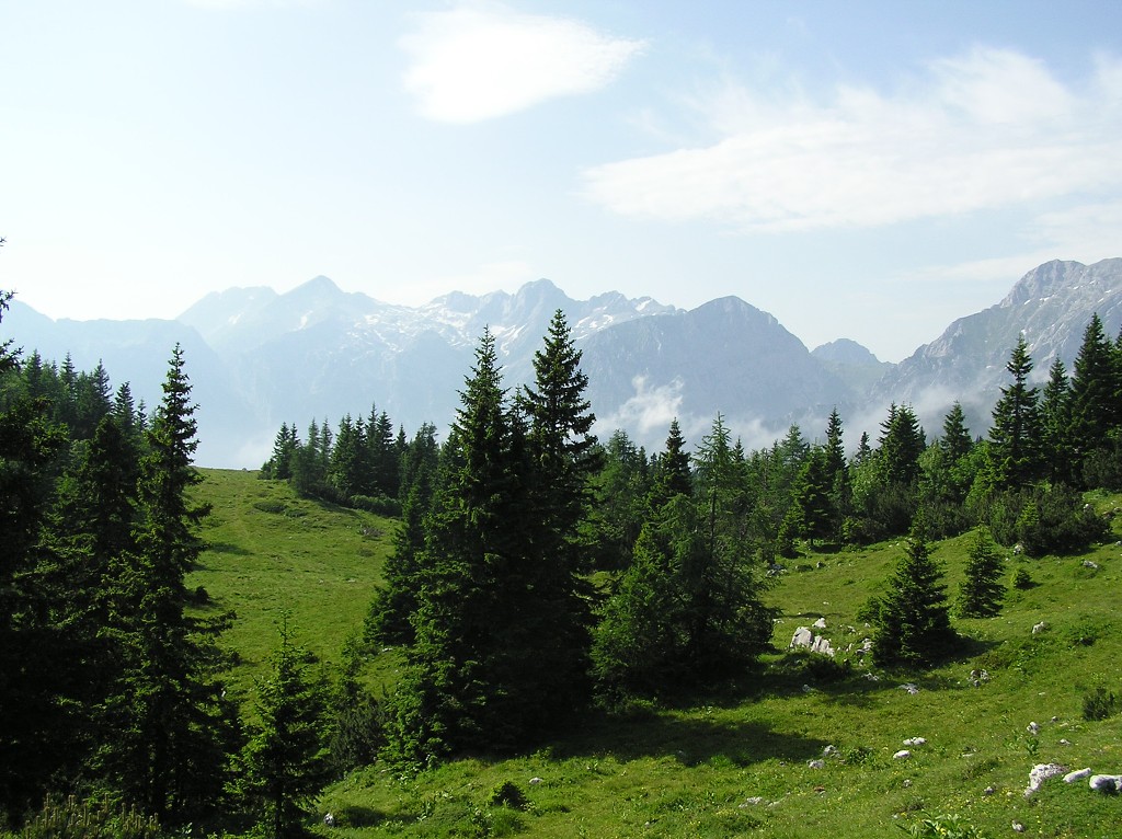 img00112.jpg