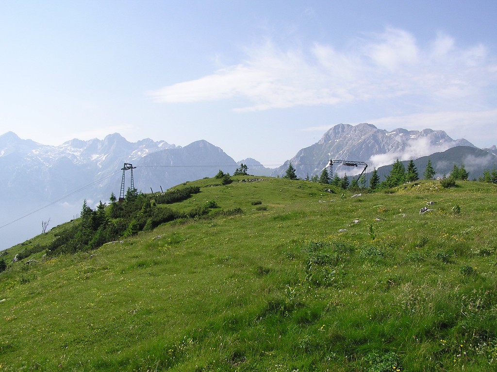 img00113.jpg