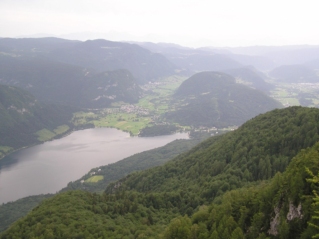 img00115.jpg