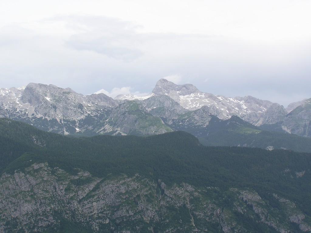 img00116.jpg