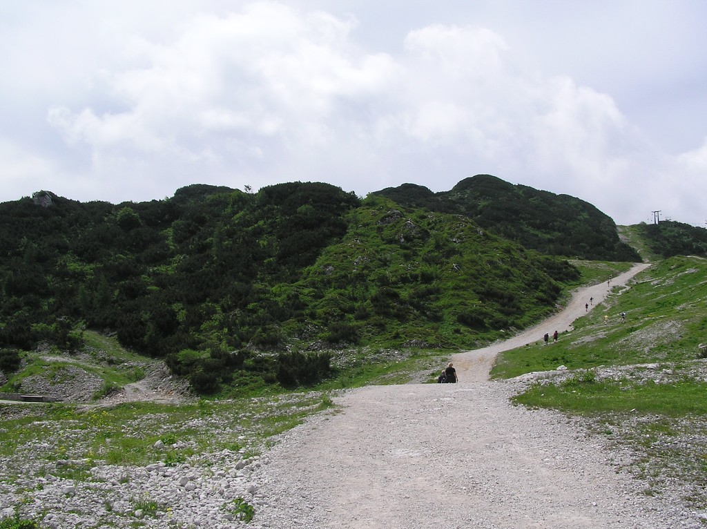 img00119.jpg