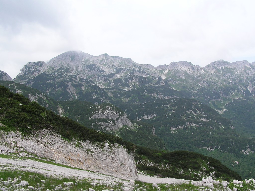 img00124.jpg