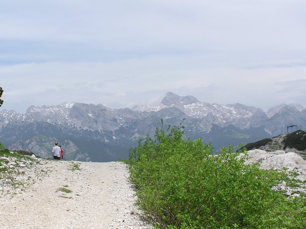 img00126.jpg