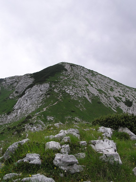 img00129.jpg