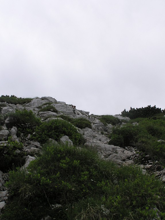 img00131.jpg