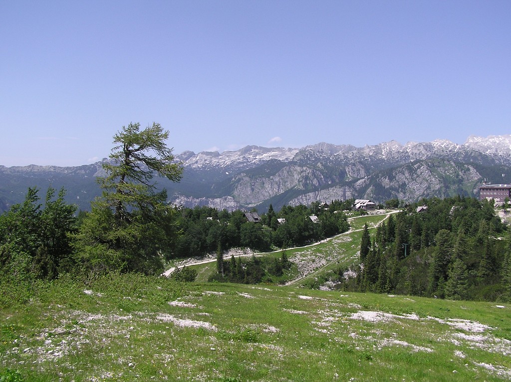 img00141.jpg