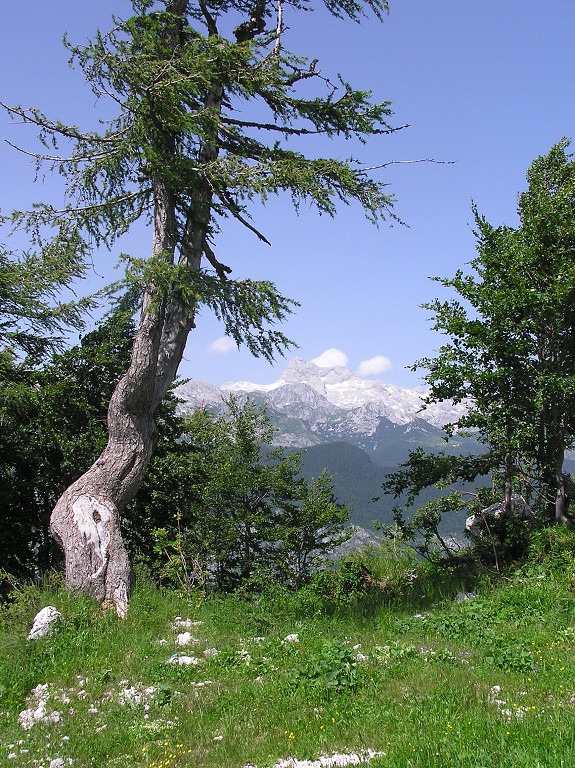 img00143.jpg