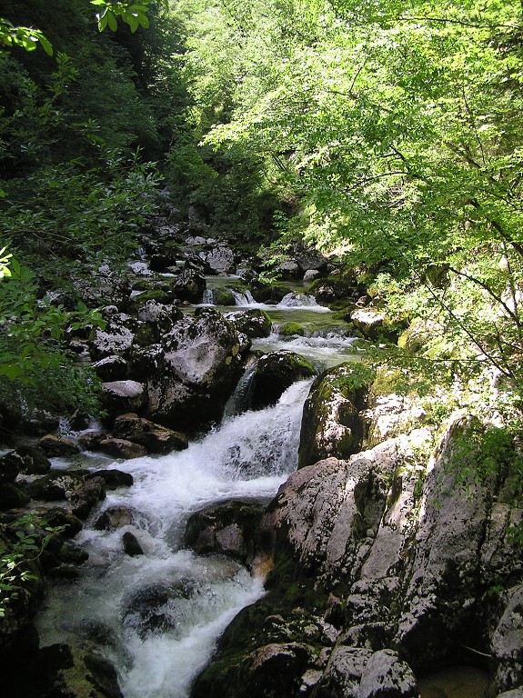 img00145.jpg