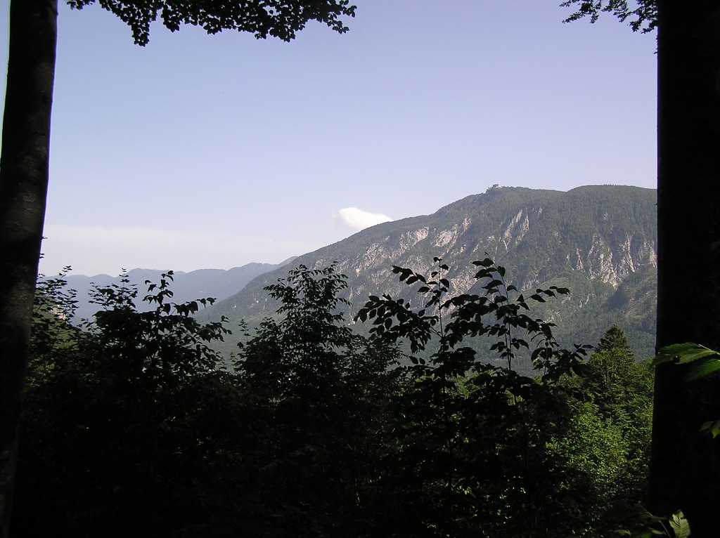 img00146.jpg