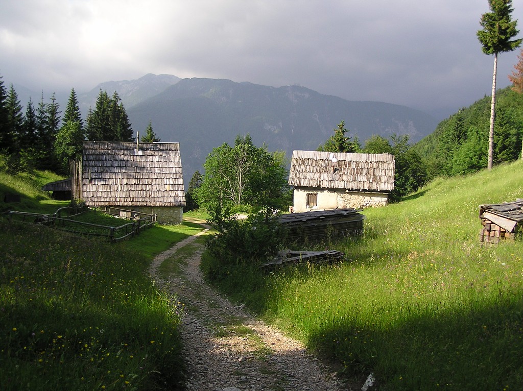 img00167.jpg