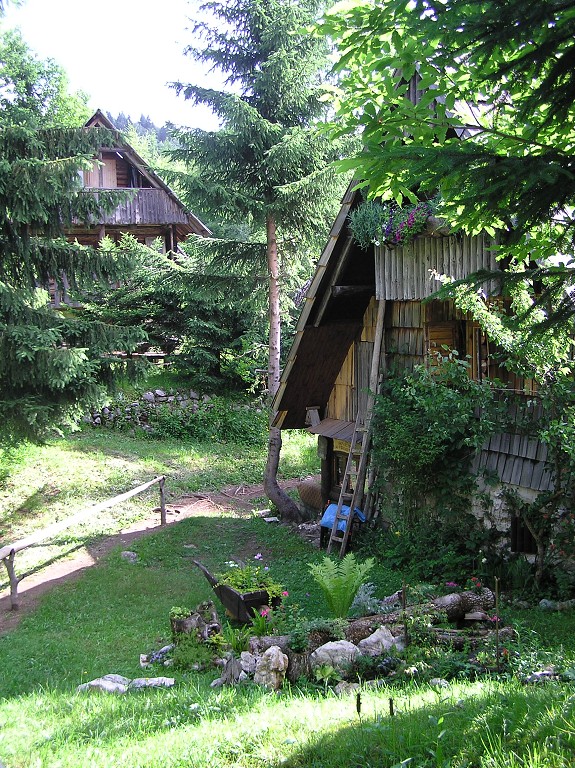 img00168.jpg